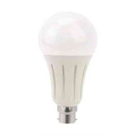 LED GLS Light Bulb 24W Opal BC B22