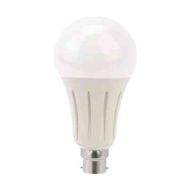 24W LED B22 / BC GLS Light Bulb