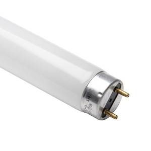 29" 16W T8 Fluorescent Tube