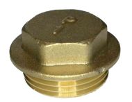 1" BSP Brass Flanged Blanking Plug