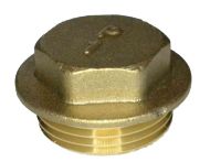 1" BSP Brass Flanged Plug