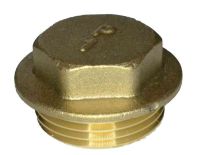 1" BSP Brass Flanged Plug