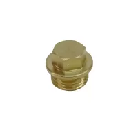 1/4" BSP Brass Flanged Plug