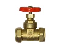 22mm Gate Valve