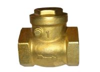 1" BSP Swing Check Valve