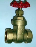 42mm Gate Valve