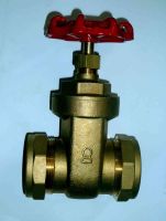 54mm Gate Valve