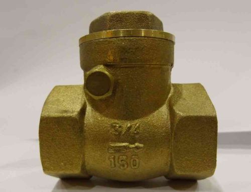 3/4" BSP Swing Check Valve