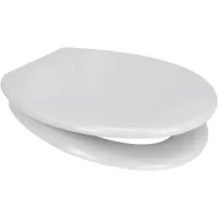 Opal One Soft Close Toilet Seat