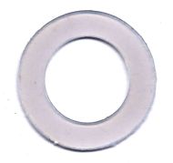 3/4" BSP Poly Washer